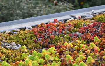 the cost of The Park green roof installation