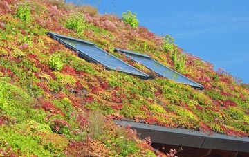 The Park living roof systems